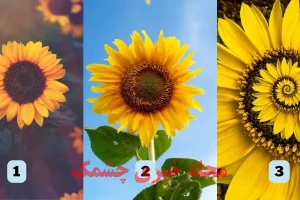 تست شخصیت شناسی | یک آفتابگردون انتخاب کن و پیام طبیعت رو بخون