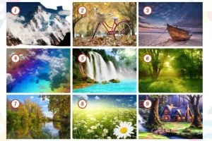 تست شخصیت شناسی | با انتخاب یک تصویر ویژگی منحصر به فردتو کشف کن
