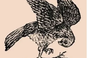 تست هوش | فقط 2٪ از افراد با ذهن برتر می توانند این معما را حل کنند