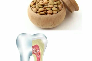 با این دانه ها نیازی برای دندان پزشکی نیست | تا پایان عمر لثه های قوی خواهید داشت