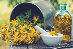 این گیاه مخصوص نرم کننده پوست ،تسکین دهنده سرفه،بیماری های عصبی ،تشنج ،بیماری های ریوی،ضعف اعصاب و افسردگی