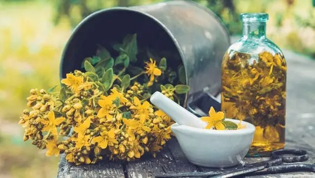 این گیاه مخصوص نرم کننده پوست ،تسکین دهنده سرفه،بیماری های عصبی ،تشنج ،بیماری های ریوی،ضعف اعصاب و افسردگی