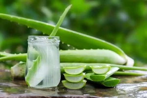این گیاه سرشار از پروتئین و کلاژن شما را خوش اندام می کند