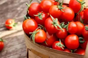 برای لاغری نه باشگاه برو نه داروی لاغری بخور | تنها راه چاره این صیفی قرمز و ارزان قیمت است