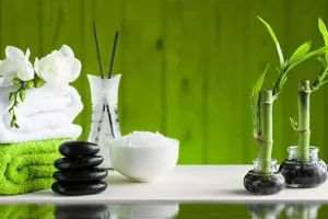 این وسیله هایی که همه تو خونه هامون داریم بیش از حد تصورمون انرژی منفی دارن و بد شانسی میارن