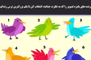 تست روانشناسی با پرنده رنگی | یک پرنده انتخاب کن تا بهت مشاوره رایگان روانشناسی بدم