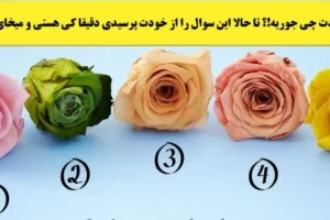 تست شخصیت شناسی | تا حالا فکر کردی ته داستانت چی میشه؟ یک گل انتخاب کن بگم