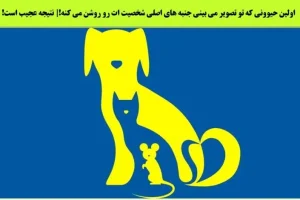تست شخصیت عجیب غریب | چقدر ادم پیچیده و غیر قابل پیش بینی هستی؟