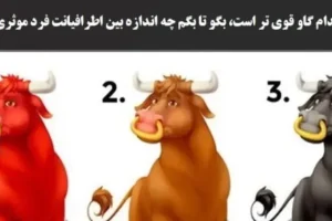 تست شخصیت گاوری | یک گاو انتخاب کن تا بگم اطرافیانت چی راجبت فکر میکنن