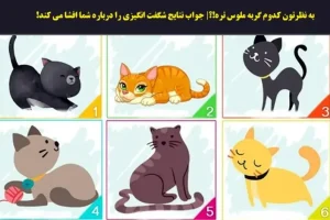 تست شخصیت شناسی | یک گربه ملوس انتخاب کن تا بگم چقدر حاضری واسه هدفت بجنگی