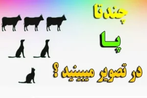 تست هوش | بتونی این تست هوش رو جواب بدی باید چمدون ببندی بری آکسفورد