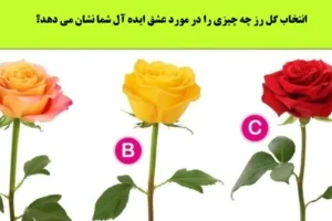 طالع بینی رز عشق | یک گل رز انتخاب کن تا بگم وارد چه عشق ایده آلی خواهی شد