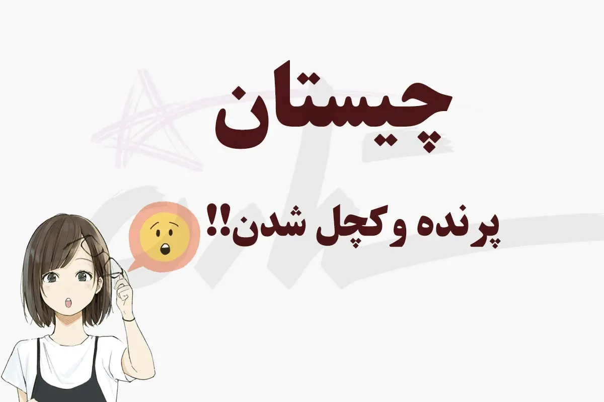 چیستان روز | اون چه پرندهایه که اگه بیوه بشه کچل میشه؟؟