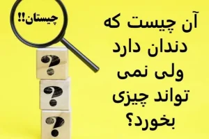 چیستان آسان | آن چیست که دندان دارد ولی نمی تواند چیزی بخورد؟