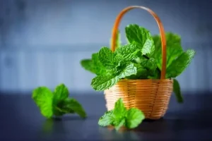 علت بوی بد دهان اول صبح چیه؟ | یک راه حل آسون و تضمینی برای از بین بردن بوی بد معده اول صبح