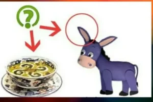 تست هوش | اگه بتونی کامه رو از تصویر تشخیص بدی خیلی باهوشی