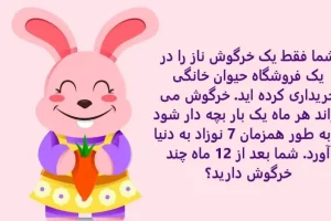 تست هوش سخت | بتونی به تست هوش خانواده خرگوش جواب بدی نمره مغزت 20 از 20 عه