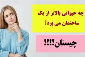 چیستان روز | چه حیوانی بالاتر از یک ساختمان می پرد؟