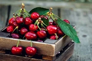 تمام عمر اشتباهی آلبالو میخوردیم | ترفند جادویی ساقه آلبالو برای خونه و زندگی