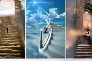 در مسیر بهشت | دوست داری از کدام راه به بهشت برسی؟از نتایج شگفت زده میشی