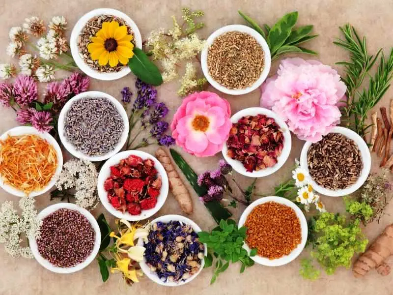 بهترین دانستنی های طب سنتی | چی و کی بخوریم تا سالم بمونیم