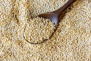 این گیاه جایگزین ارزان قیمت گوشت است | مواد مغذی این گیاه چند برابر گوشت می باشد + خواص درمانی