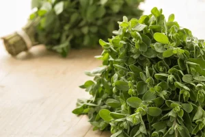 این گیاه جادویی نابود کننده عفونت‌های رحمی و بهبود سلامت جنسی مردان است