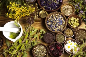 این گیا های اورژانسی و حتما باید تو خونه داشته باشی و بدونی کی استفاده کنی