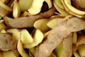 تمام عمر اشتباهی پوست سیب زمینی دور می ریختیم | معجزه پوست سیب زمینی برای خونه و زندگی