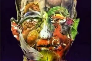 اگه شتر و پیدا کردی هیچوقت آلزایمر نمیگیری | تست هوش