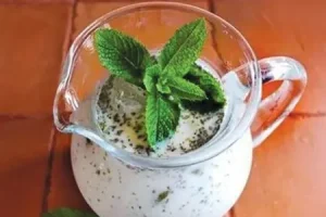 با این ترفند جدید و خفن دیگه نعنا ها رو دوغ نمیمونه | فوت کوزه گری نماندن نعناع روی دوغ