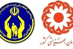 فوری/ کمک هزینه جدید ماهیانه دولت برای مددجویان از این ماه | خبر خوش دیوان محاسبات برای مددجویان بهزیستی و کمیته امداد