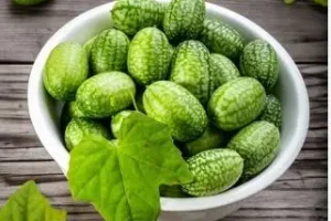این گیاه سرشار از وبتامین A و E و منگنز با خاصیت ضدمیکروبی و ضدالتهابی باعث رفع کم خونی و رنگ پریدگی می شود