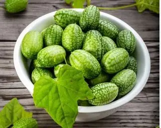این گیاه سرشار از وبتامین A و E و منگنز با خاصیت ضدمیکروبی و ضدالتهابی باعث رفع کم خونی و رنگ پریدگی می شود
