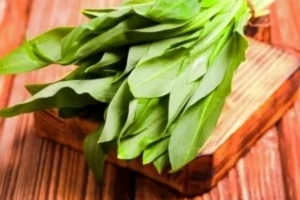 ابرغذایی که درمان هر دردی است | این گیاه مخصوص آقایان است