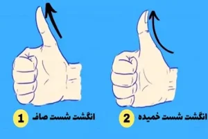 تست شخصیت شناسی | طالع بینی دقیق از روی شکل و ظاهر انگشت شست شما