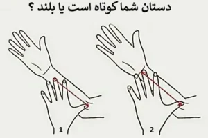 بگو دستت بلند یا کوتاه تا خصوصیات اخلاقیتو بگم | تست شخصیت شناسی