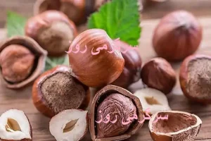 مصرف روزانه 5 عدد از این مغز فشار خون را تنظیم می کند