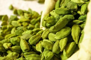 این گیاه با کنترل فشار و سطح کلسترول خون، باعث محافظت از قلب می‌شود