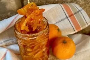 روش تهیه مربای پوست نارنگی | فوت و فن‌ درست کردن مربای نارنگی