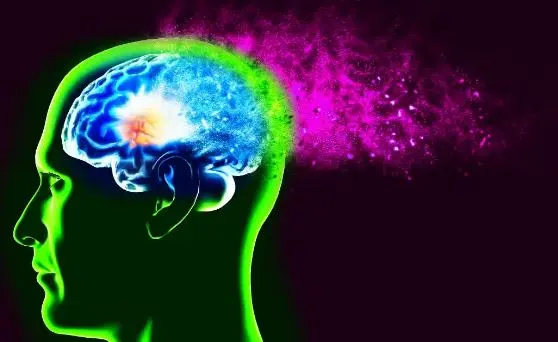 بهترین مواد غذایی برای مغز | خطر ابتلا به آلزایمر و پارکینسون را کاهش می دهد
