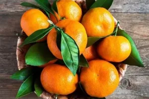 یک میوه پاییزی و این همه خاصیت! | کنترب فشار خون و قند خون با مصرف این میوه