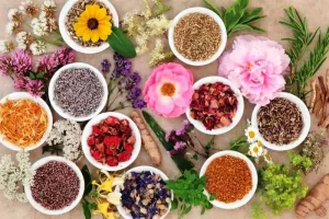 این گیاه دارویی درمان قطعی معده درد است
