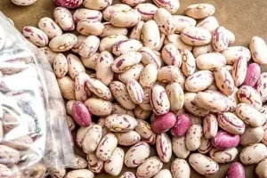 خواص لوبیا چیتی که یک عمر ازش غافل بودیم | خواص بی نظیر لوبیا چیتی برای مردان