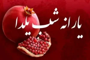 واریز قطعی 1 میلیون و 200 هزار تومانی یارانه یلدا برای این دهک ها | پرداخت یارانه یلدایی دولت برای این خانوارها
