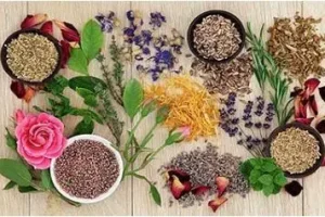 این گیاه ارزان قیمت قاتل بیماری های عفونی است