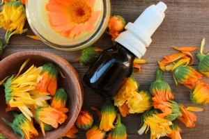 گل همیشه بهار؛ داروخانه کامل و سیار در خانه