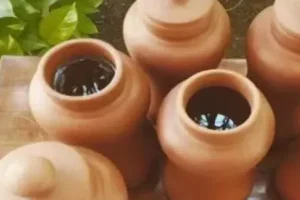 خواص بی نظیر آب کوزه ای که یک عمر از خوردن آن غافل بودیم