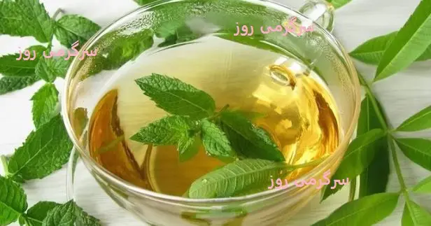 طرز تهیه دمنوش به لیمو ؛ از سمزدایی از بدن تا درمان مشکلات رحم