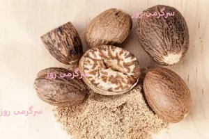 خواص باورنکردنی جوز هندی برای کبد و سم‌زدایی بدن